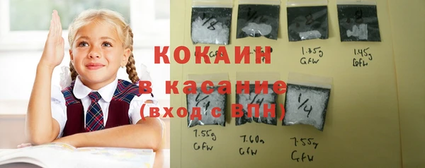 мет Лагань